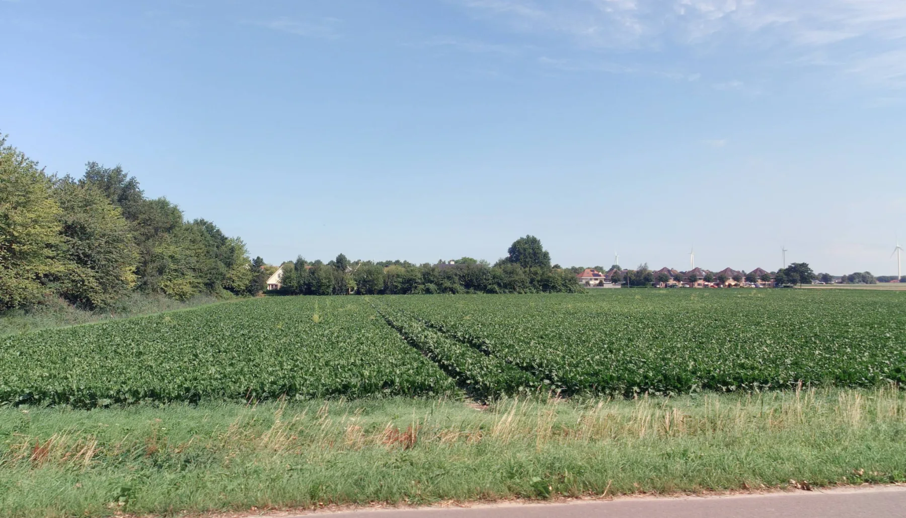 De woningbouwlocatie Dorsmolen-Oost aan de rand van Wieringerwerf